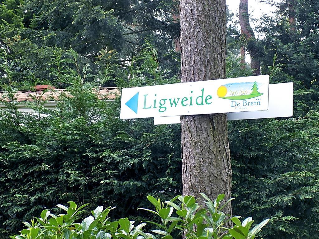 Verblijfpark De Brem Lille Exteriör bild