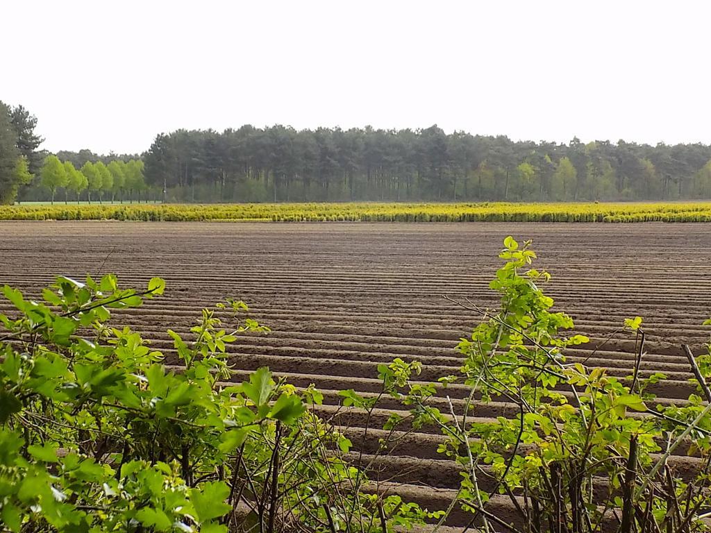 Verblijfpark De Brem Lille Exteriör bild